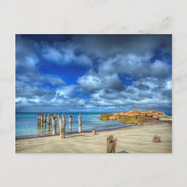 Postal Playa de Lillies | Wybalena, isla Flinders (Anverso)