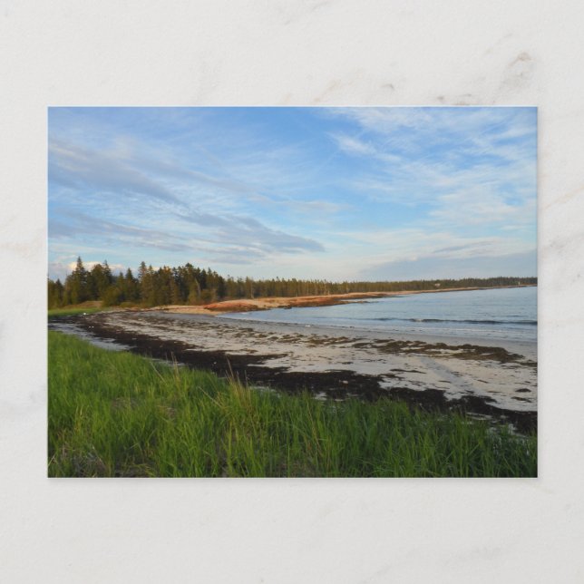 Postal Playa de Maine (Anverso)