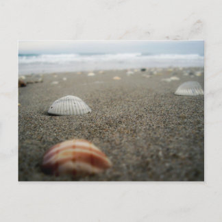 Postal Playa de Melbourne, Florida