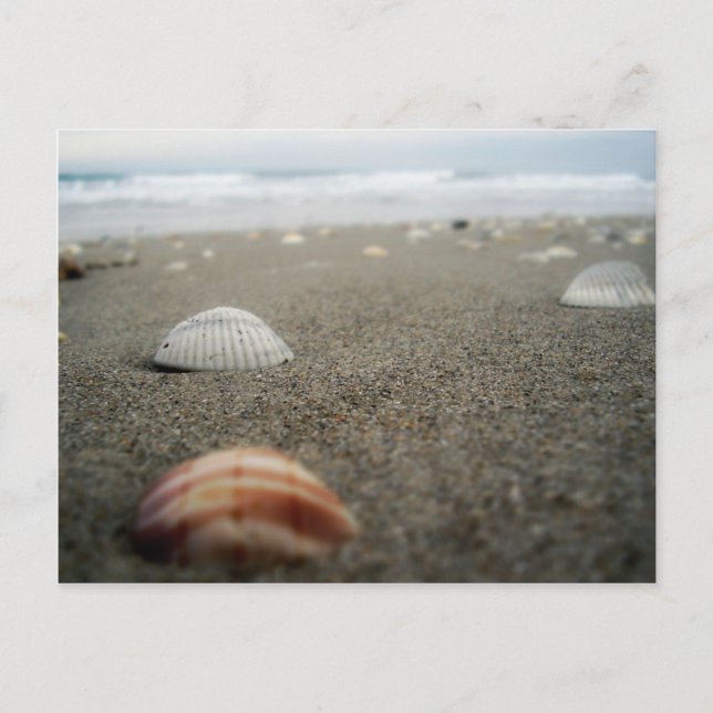 Postal Playa de Melbourne, Florida (Anverso)