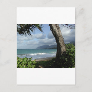 Postal Playa de Oahu