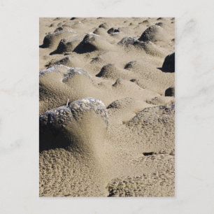 Postal Playa de Oregon