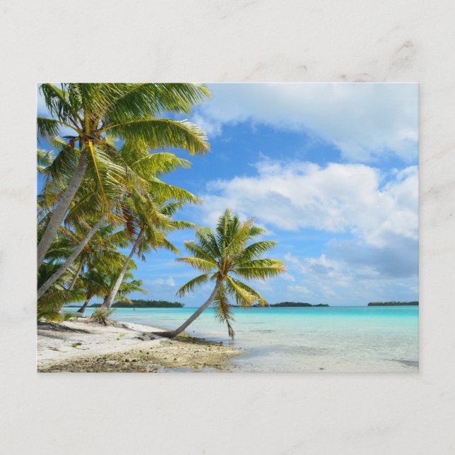Postal Playa de palmeras del Pacífico (Anverso)
