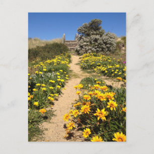 Postal Playa de primavera de noventa millas, Australia