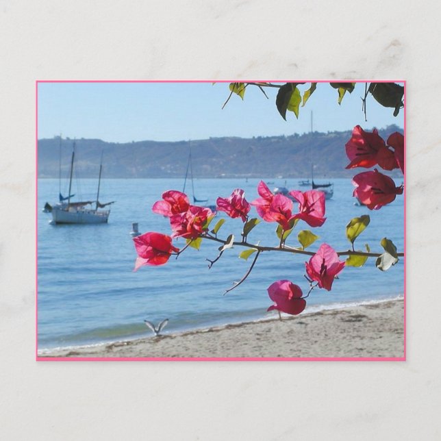 Postal playa de San Diego (Anverso)