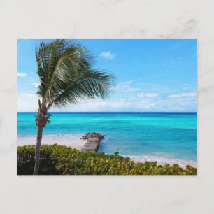 Postal Playa del Caribe