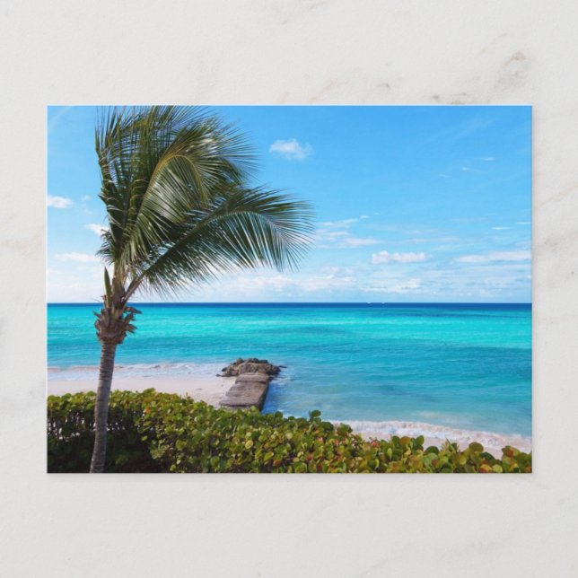 Postal Playa del Caribe (Anverso)