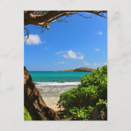 Postal Playa del Caribe Tropical