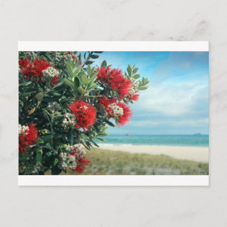 Postal Playa del paraíso de las flores rojas verano en Nu
