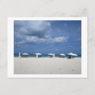 Postal Playa Eagle