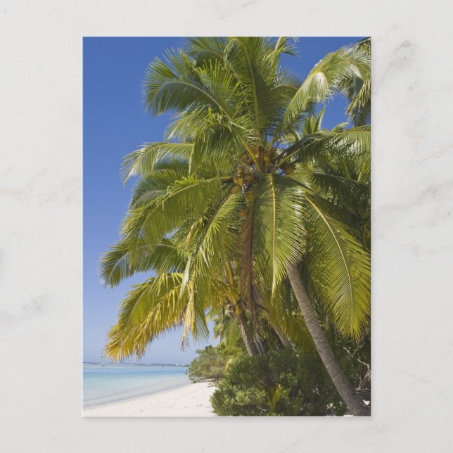 Postal Playa en la isla de One Foot, Aitutaki, Islas Cook (Anverso)