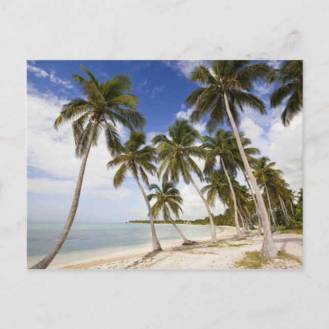 Postal Playa en Punta Cana (Anverso)