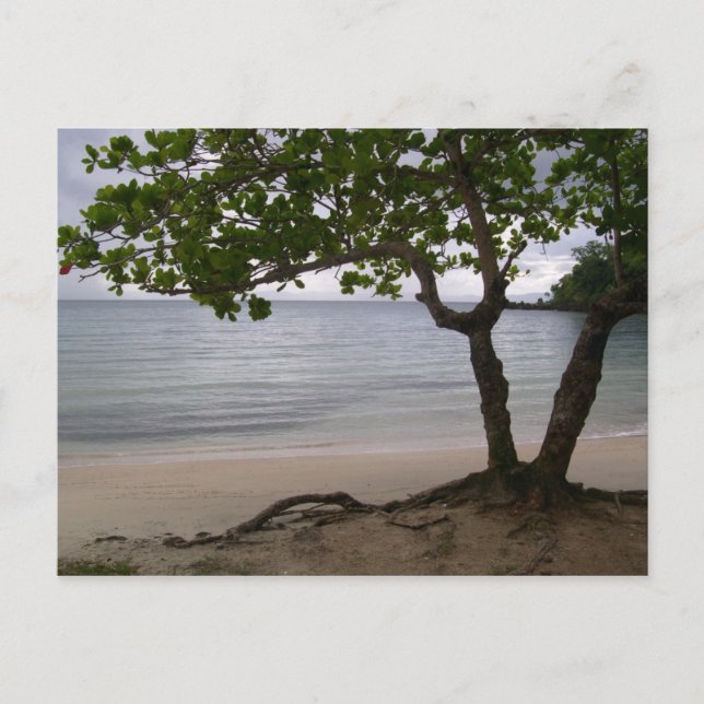 Postal Playa Escondido (Anverso)