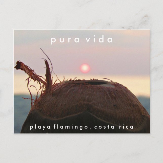 Postal Playa Flamingo Sunset Coconut Costa Rica Postcard (Anverso)