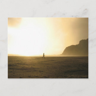 Postal Playa Karekare - Auckland, Nueva Zelanda