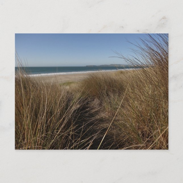 Postal Playa Limantour en la costa nacional I de Point Re (Anverso)