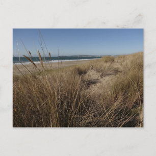 Postal Playa Limantour en Point Reyes II