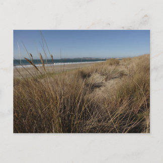 Postal Playa Limantour en Point Reyes II