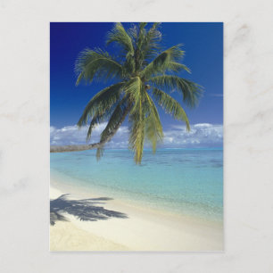 Postal Playa Matira en la isla de Bora Bora, Sociedad