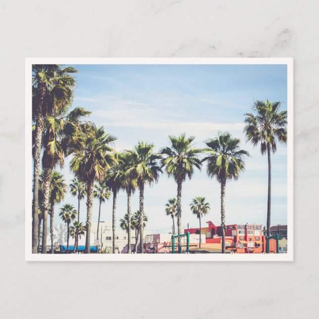 Postal Playa Muscle Venice Beach California Palma (Anverso)