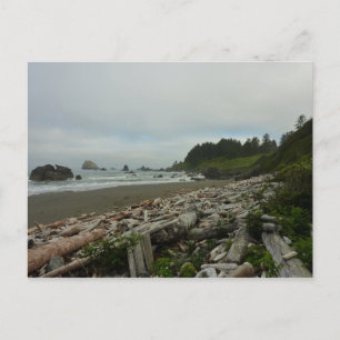 Postal Playa oculta I en el Parque Nacional Redwood