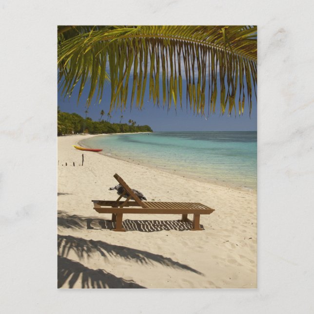 Postal Playa, palmeras & tumbona (Anverso)
