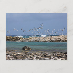 Postal Playa para bebés