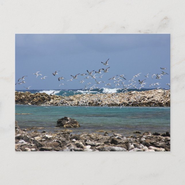 Postal Playa para bebés (Anverso)