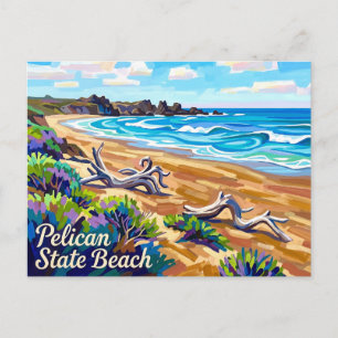 Postal Playa Pelican State, California