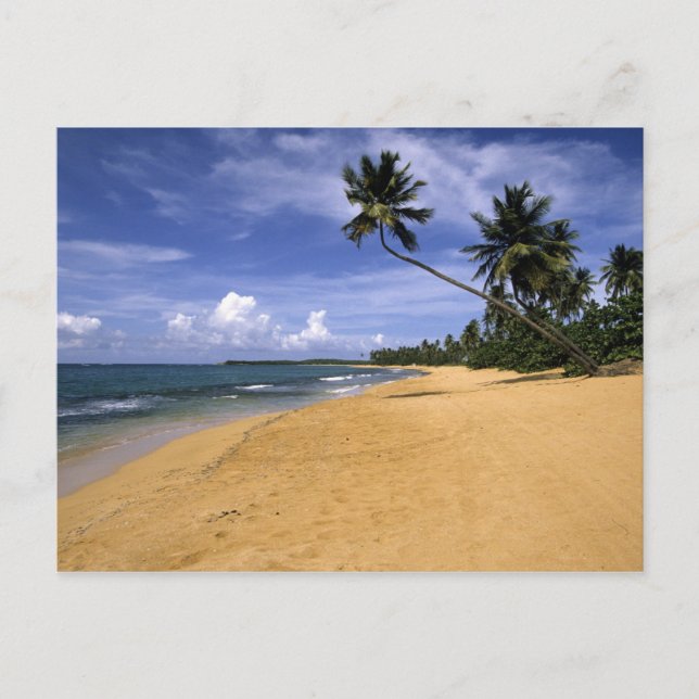 Postal Playa Puerto Rico 2 (Anverso)
