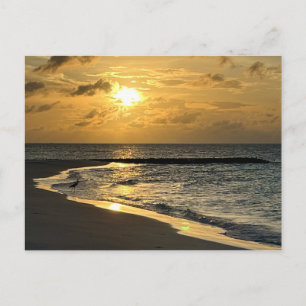 Postal Playa Sunrise