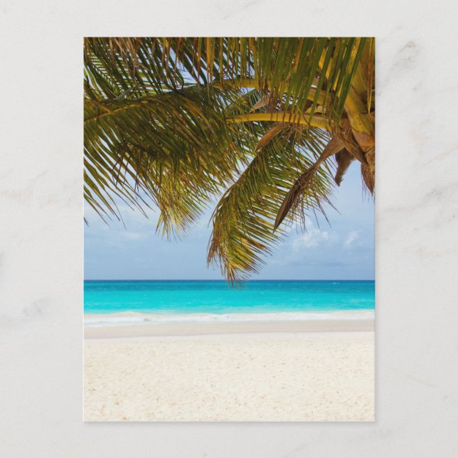 Postal Playa tropical (Anverso)