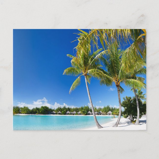 Postal Playa tropical (Anverso)