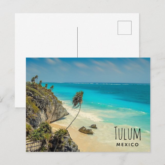Postal Playa tropical con palmeras barridas de viento (Anverso / Reverso)