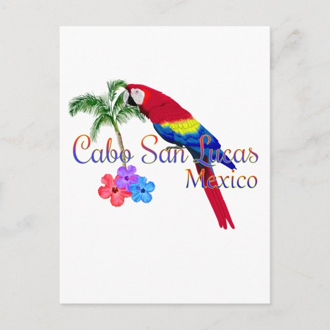 Postal Playa Tropical de Cabo San Lucas (Anverso)