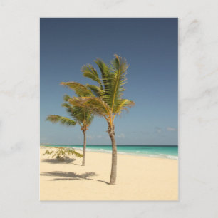 Postal Playa Tropical de República Dominicana