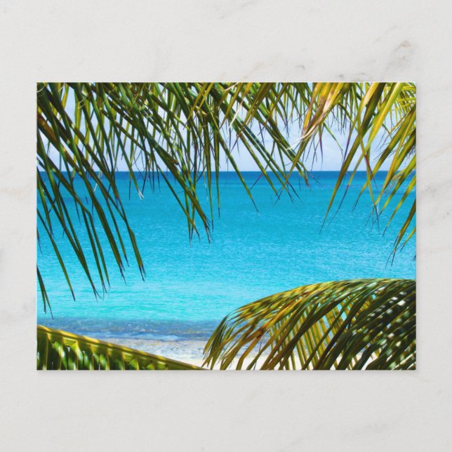 Postal Playa tropical enmarcada con palmeras (Anverso)
