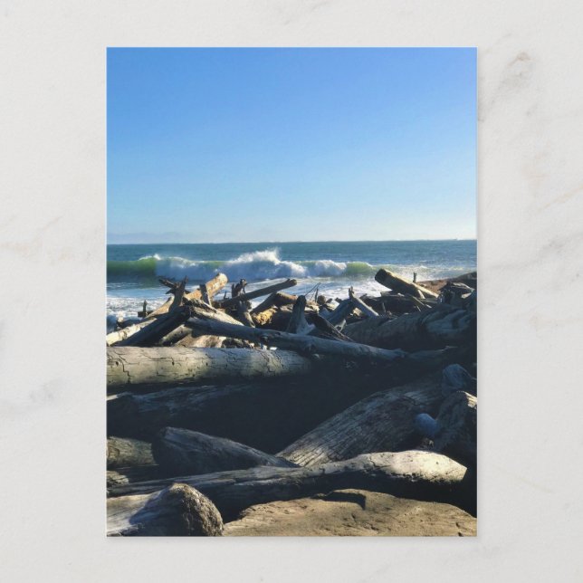 Postal Playa Waikiki, decepción del Cabo, Washington (Anverso)