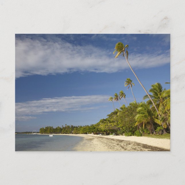 Postal Playa y palmeras, Plantation Island Resort (Anverso)