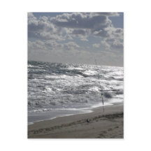 Playas de pesca y sueños