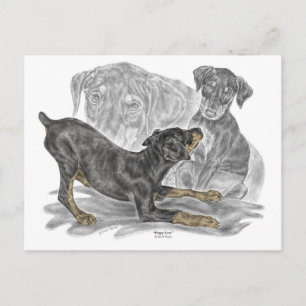 Postal Playas Doberman Pinscher