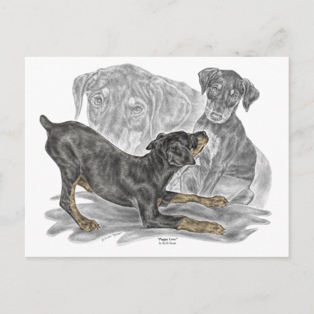 Postal Playas Doberman Pinscher (Anverso)