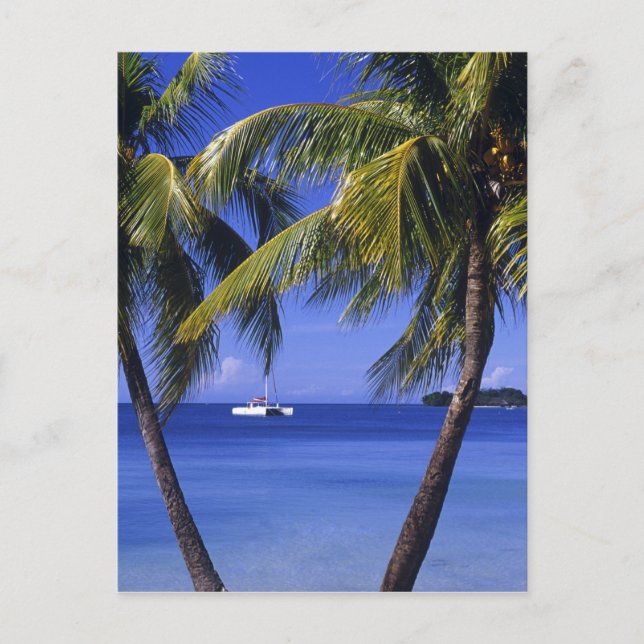 Postal Playas en Negril, Jamaica (Anverso)