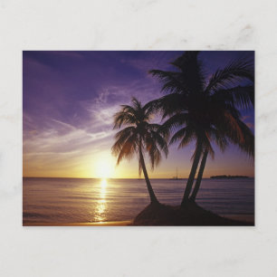 Postal Playas en Negril, Jamaica 3