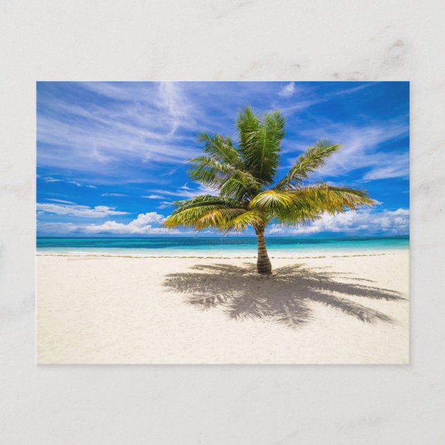 Postal Playas tropicales | Bora Bora, Polinesia Francesa (Anverso)