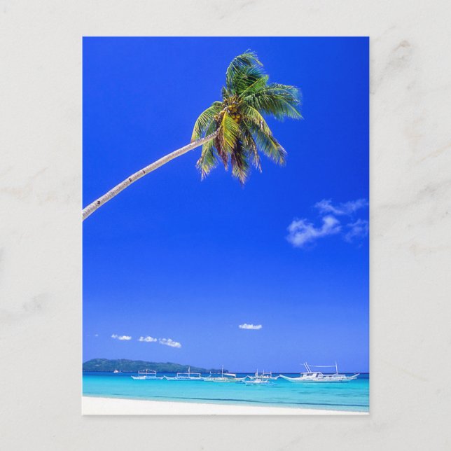 Postal Playas tropicales | Playa Blanca, Filipinas (Anverso)