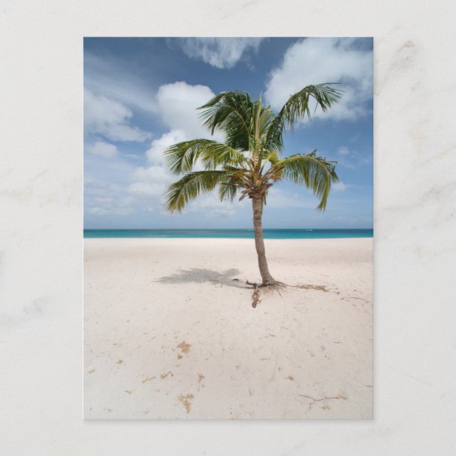 Postal Playas Tropicales | Playa Eagle, Aruba (Anverso)