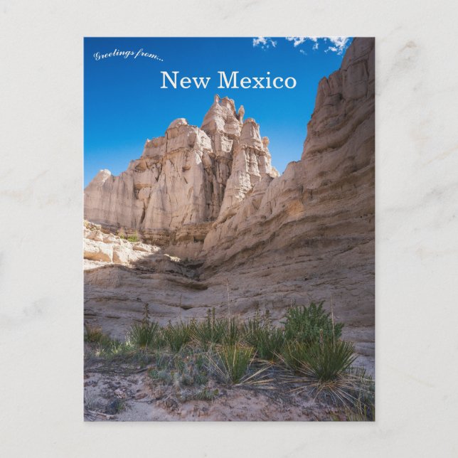 Postal Plaza Blanca New Mexico (Anverso)