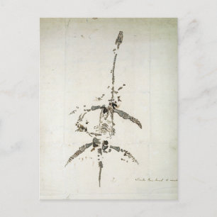 Postal Plesiosaurus dolichodeirus