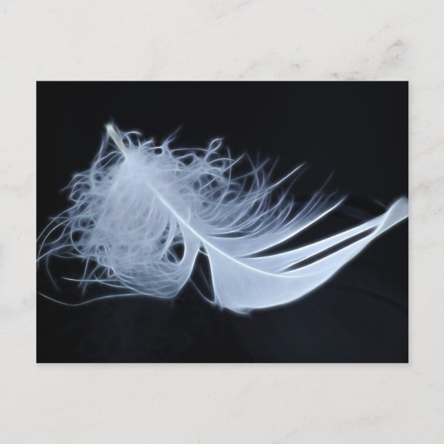 Postal Pluma blanca - angelical por la naturaleza (Anverso)